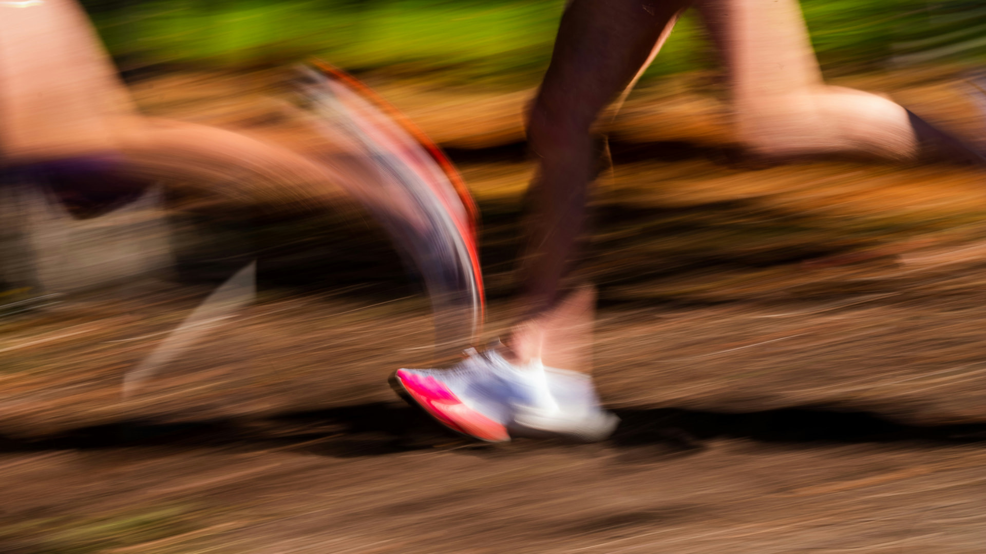 Corredores compartiendo un entrenamiento al aire libre